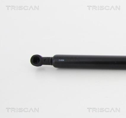 Vérin (Vérin de hayon) Triscan A/S 8710 17219