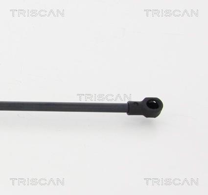 Vérin (Vérin de hayon) Triscan A/S 8710 17219