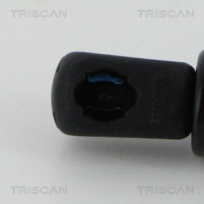 Muelle neumático Triscan A/S 8710 17222