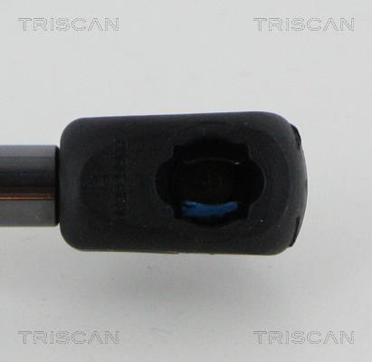 Muelle neumático Triscan A/S 8710 17222