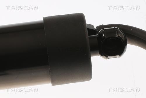 Vérin (Vérin de hayon) Triscan A/S 8710 17301