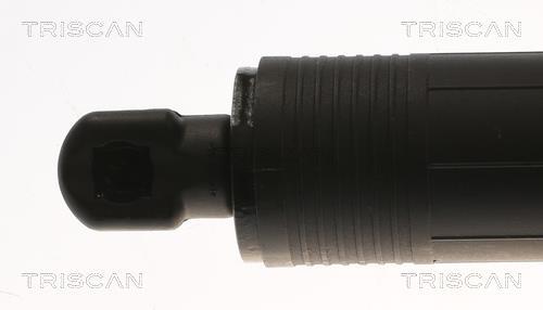 Vérin (Vérin de hayon) Triscan A/S 8710 17302