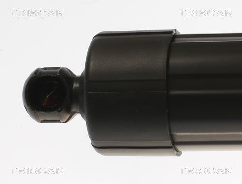 Cilindro Triscan A/S 8710 17303