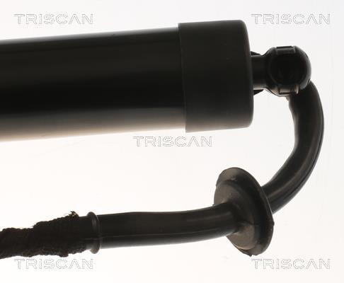 Cilindro Triscan A/S 8710 17303
