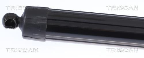 Vérin (Vérin de hayon) Triscan A/S 8710 17304