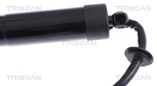 Vérin (Vérin de hayon) Triscan A/S 8710 17305