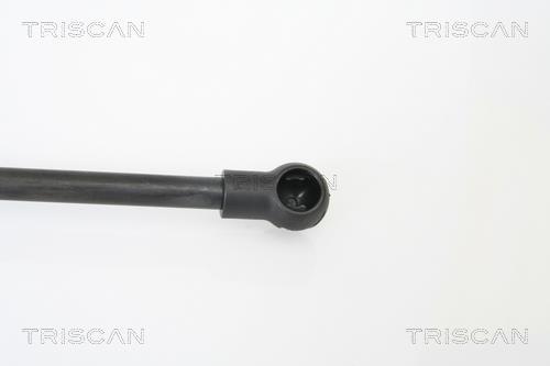 Vérin (Vérin de hayon) Triscan A/S ref. 8710 18100