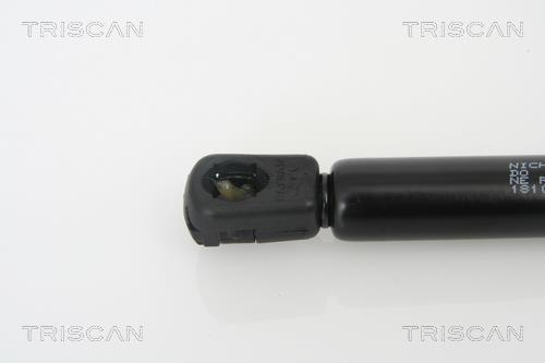 Vérin (Vérin de hayon) Triscan A/S 8710 18101