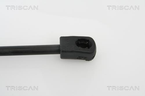 Vérin (Vérin de hayon) Triscan A/S 8710 18101