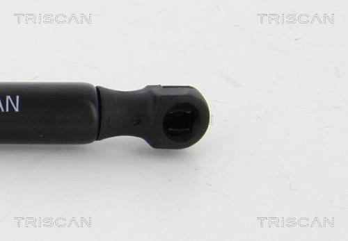 Vérin (Vérin de hayon) Triscan A/S ref. 8710 18102