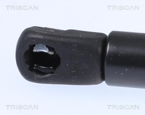Cilindro Triscan A/S 8710 18103