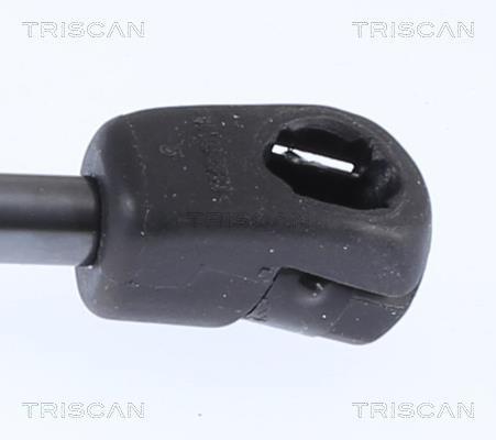 Cilindro Triscan A/S 8710 18103