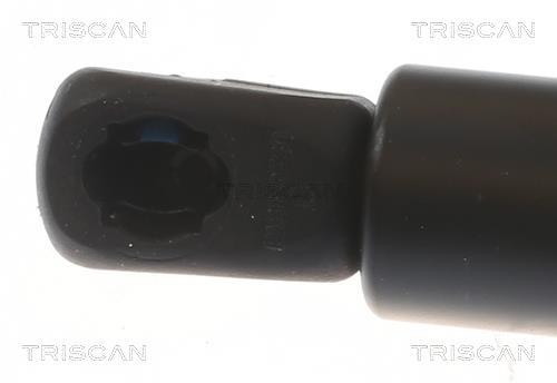 Vérin (Vérin de hayon) Triscan A/S 8710 18104