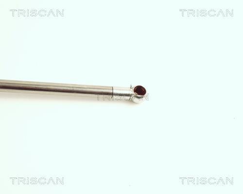 Vérin (Vérin de hayon) Triscan A/S ref. 8710 18203