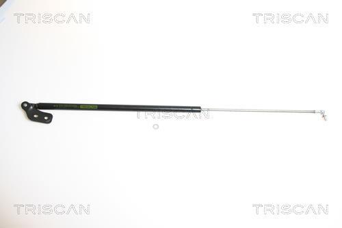 Vérin (Vérin de hayon) Triscan A/S ref. 8710 18210