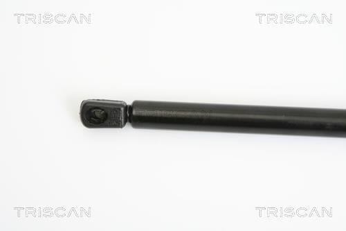 Vérin (Vérin de hayon) Triscan A/S 8710 18211