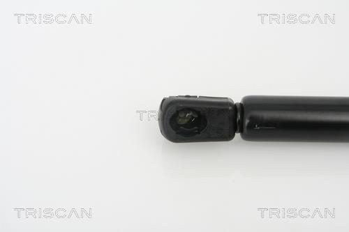 Vérin (Vérin de hayon) Triscan A/S ref. 8710 18212