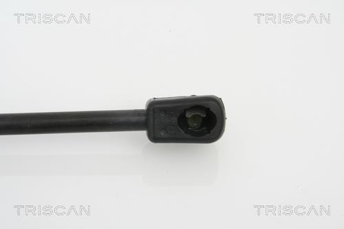 Vérin (Vérin de hayon) Triscan A/S ref. 8710 18212