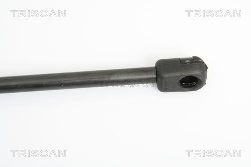 Vérin (Vérin de hayon) Triscan A/S ref. 8710 18213