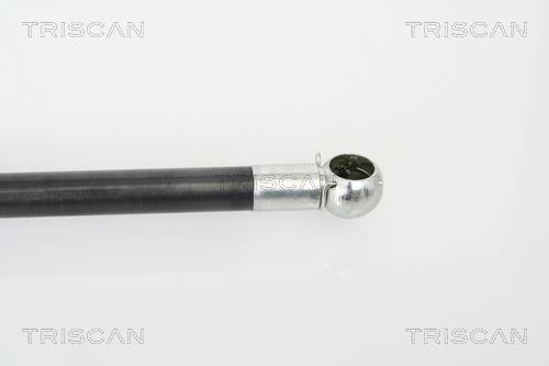 Vérin (Vérin de hayon) Triscan A/S 8710 18215