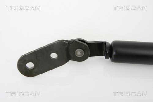 Vérin (Vérin de hayon) Triscan A/S 8710 18216