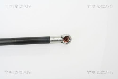 Vérin (Vérin de hayon) Triscan A/S 8710 18216