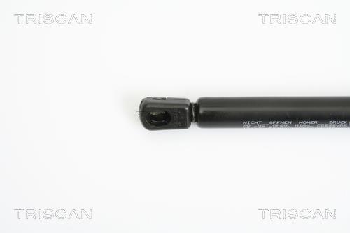 Vérin (Vérin de hayon) Triscan A/S ref. 8710 18217