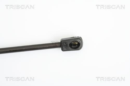 Vérin (Vérin de hayon) Triscan A/S ref. 8710 18217