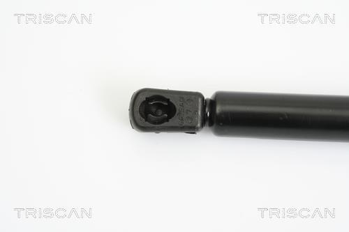 Vérin (Vérin de hayon) Triscan A/S 8710 18218