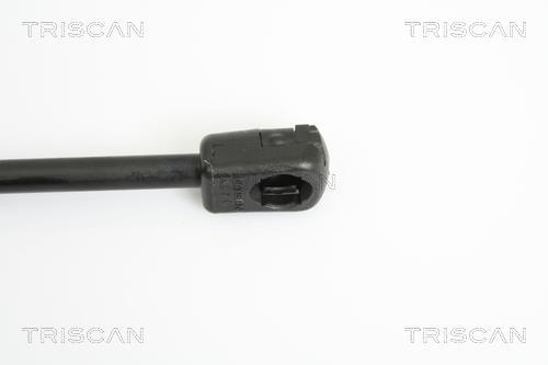 Vérin (Vérin de hayon) Triscan A/S 8710 18218