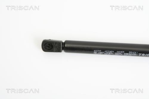 Muelle neumático Triscan A/S 8710 18219