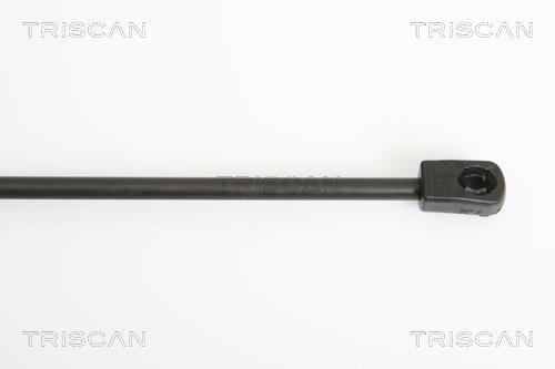 Muelle neumático Triscan A/S 8710 18219