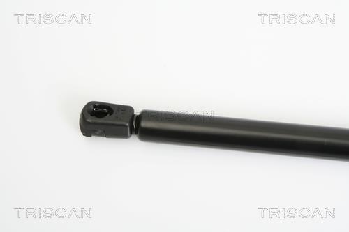 Vérin (Vérin de hayon) Triscan A/S ref. 8710 18220