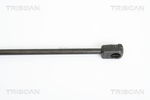 Vérin (Vérin de hayon) Triscan A/S ref. 8710 18220
