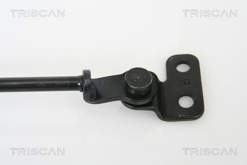 Muelle neumático Triscan A/S 8710 18221