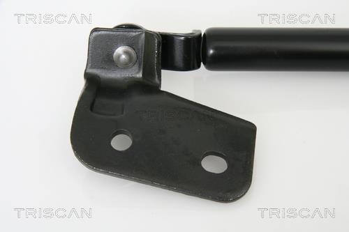 Cilindro Triscan A/S 8710 18222