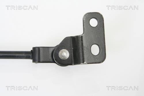 Cilindro Triscan A/S 8710 18222