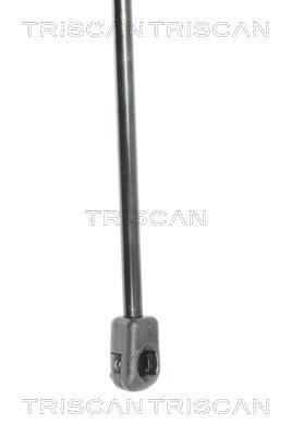 Vérin (Vérin de hayon) Triscan A/S 8710 18223