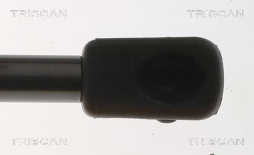 Vérin (Vérin de hayon) Triscan A/S 8710 18224