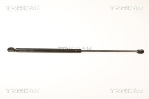 Vérin (Vérin de hayon) Triscan A/S 8710 18225