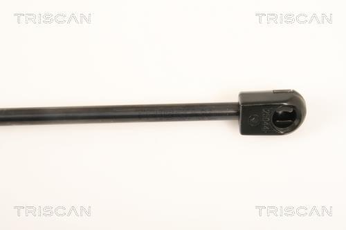 Vérin (Vérin de hayon) Triscan A/S 8710 18225
