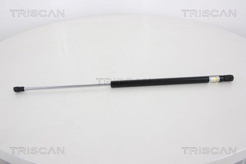 Muelle neumático Triscan A/S ref. 8710 18228