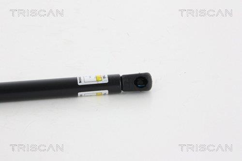 Muelle neumático Triscan A/S ref. 8710 18228