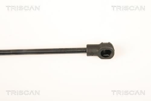 Vérin (Vérin de hayon) Triscan A/S 8710 18229