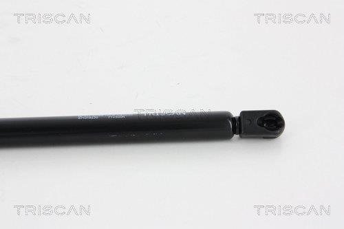 Vérin (Vérin de hayon) Triscan A/S 8710 18230