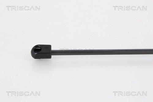 Vérin (Vérin de hayon) Triscan A/S 8710 18230