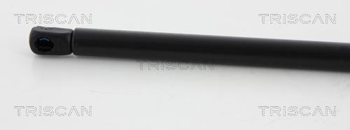 Vérin (Vérin de hayon) Triscan A/S ref. 8710 18231