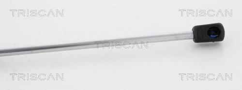 Vérin (Vérin de hayon) Triscan A/S ref. 8710 18231