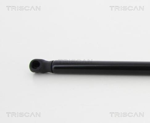 Vérin (Vérin de hayon) Triscan A/S 8710 18233