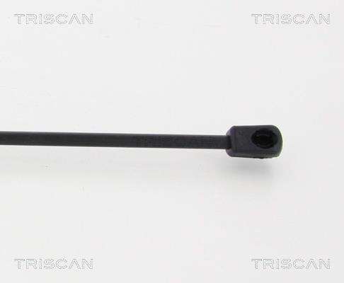 Vérin (Vérin de hayon) Triscan A/S 8710 18233
